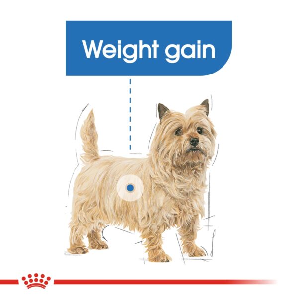 Royal Canin  Mini Light Weight Care 3 KG - Image 6