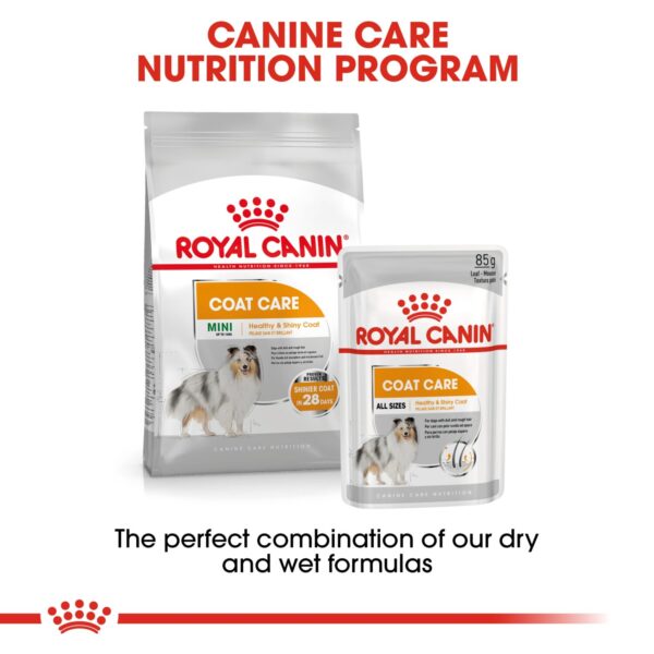 Royal Canin  Coat Care (WET FOOD - Pouches) 12 x 85g - Image 4