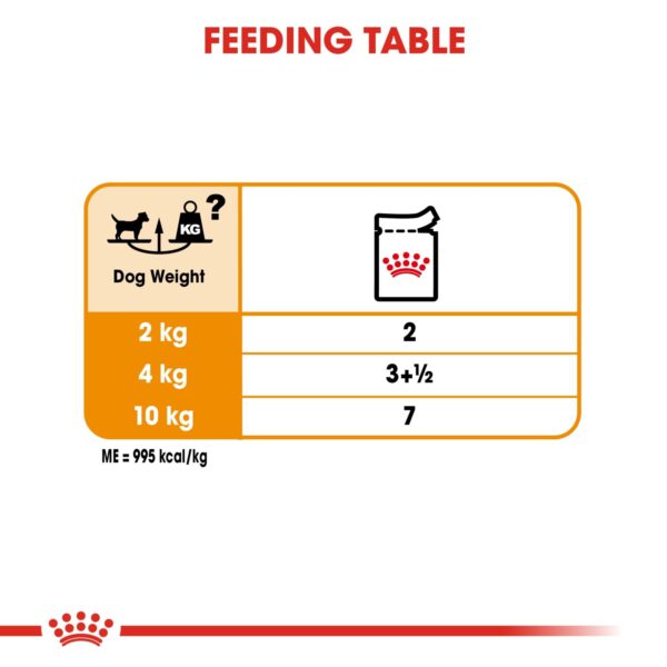 Royal Canin  Coat Care (WET FOOD - Pouches) 12 x 85g - Image 5