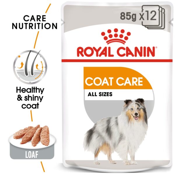 Royal Canin  Coat Care (WET FOOD - Pouches) 12 x 85g