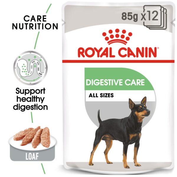 Royal Canin  Digestive Care (WET FOOD - Pouches) 12 x 85g