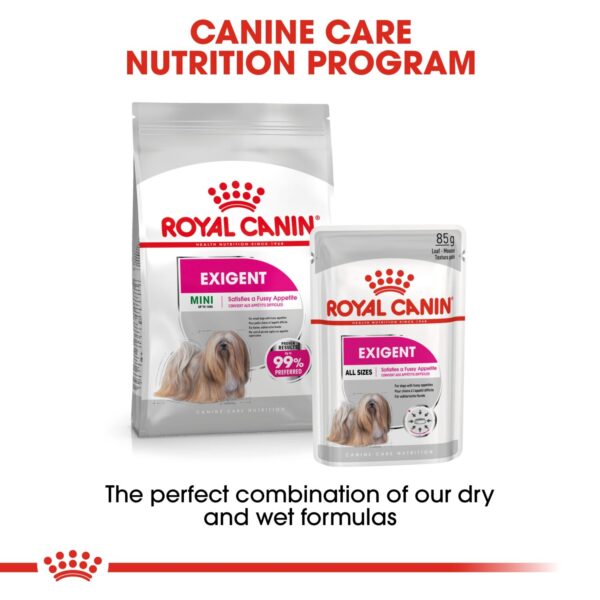 Royal Canin  Exigent (WET FOOD- Pouches) 12 x 85g - Image 7