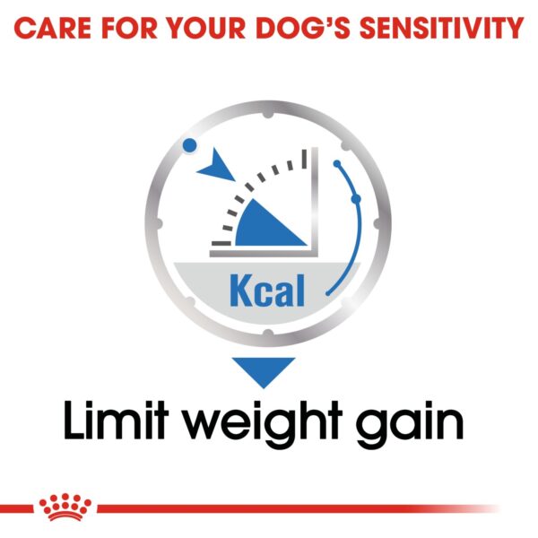 Royal Canin  Light Weight Care (WET FOOD - Pouches) 12 x 85g