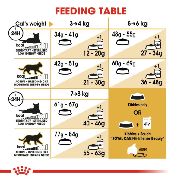 Royal Canin Bengal Adult 2 KG - Image 4