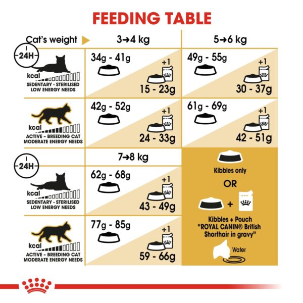 Royal Canin British Shorthair Adult 4 KG - Image 3