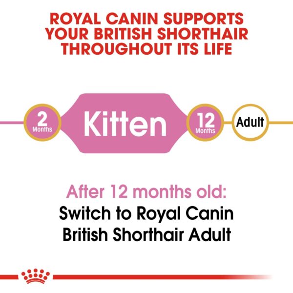 Royal Canin British Shorthair Kitten 2 KG - Image 6