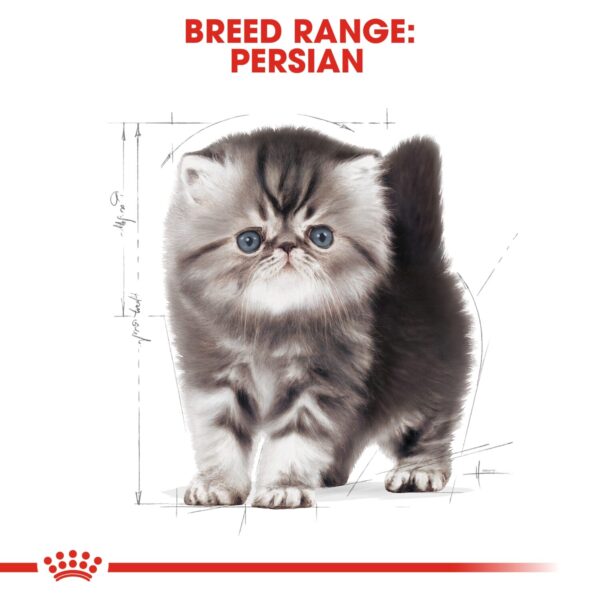 Royal Canin Persian Kitten 2 KG - Image 3