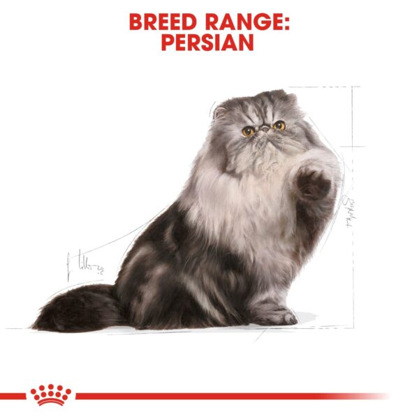 Royal Canin Persian Adult 400g - Image 4