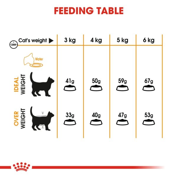 Royal Canin Hair & Skin 4 KG - Image 3