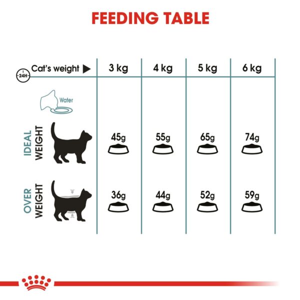 Royal Canin Hairball Care 2 KG - Image 4