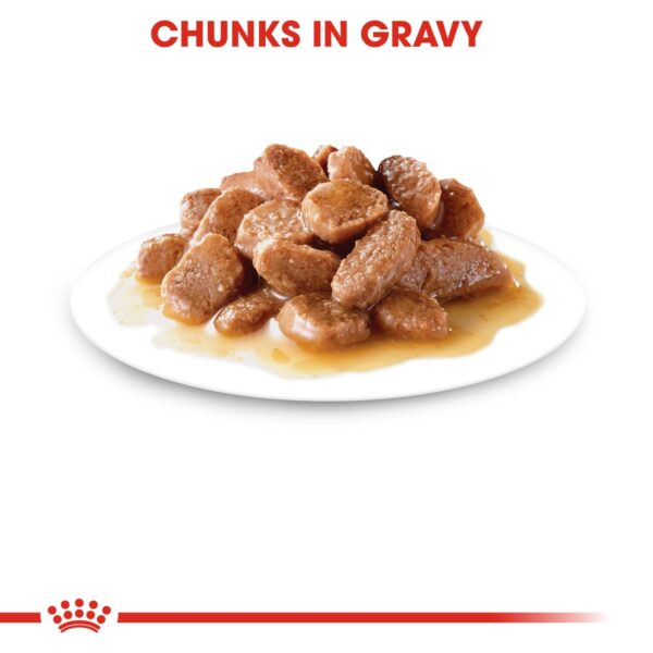 Royal Canin Hairball Gravy (WET FOOD - Pouches) 12 x 85g - Image 4