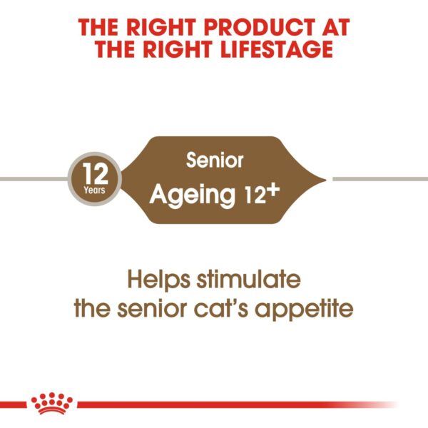 Royal Canin Ageing 12+ Years 2 KG - Image 3