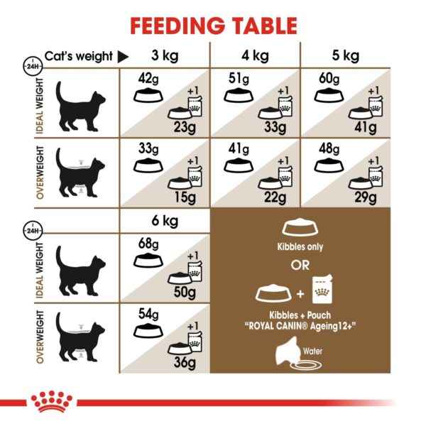 Royal Canin Ageing 12+ Years 2 KG - Image 4