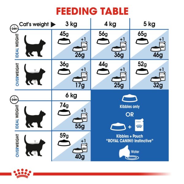 Royal Canin Indoor 4 KG - Image 3