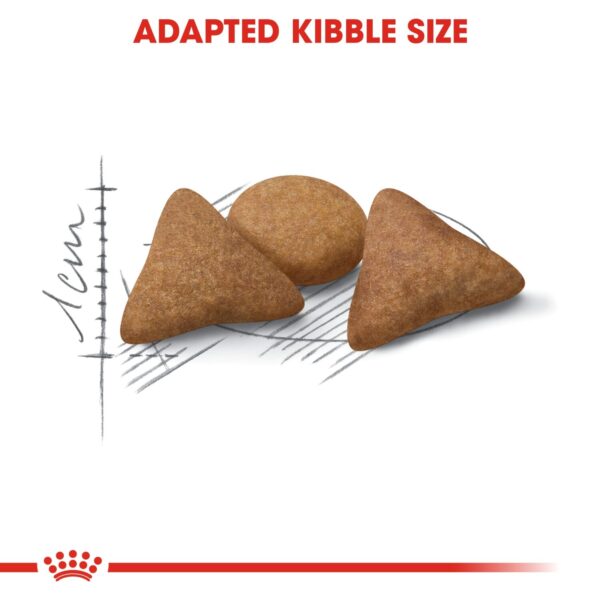 Royal Canin Indoor Appetite Control 2 KG - Image 3