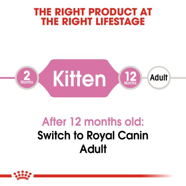 Royal Canin Kitten 10 KG - Image 5