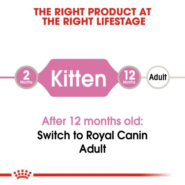 Royal Canin Kitten Jelly (WET FOOD - Pouches) 12x85G - Image 3