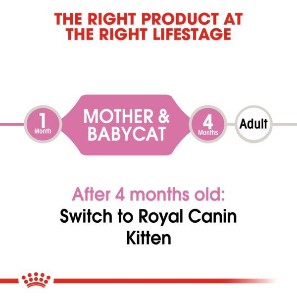 Royal Canin Mother & Babycat Mousse (WET FOOD - Cans) 12 x 195g - Image 4