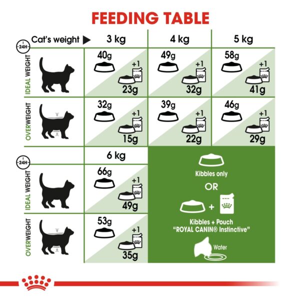 Royal Canin Outdoor 2 KG - Image 2