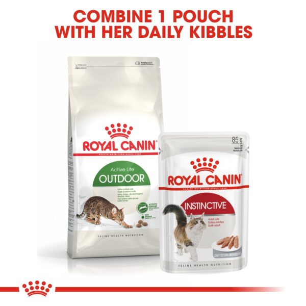 Royal Canin Outdoor 2 KG - Image 4