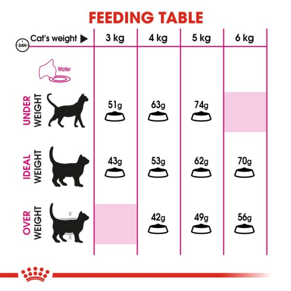 Royal Canin Exigent Savour 2 KG - Image 3