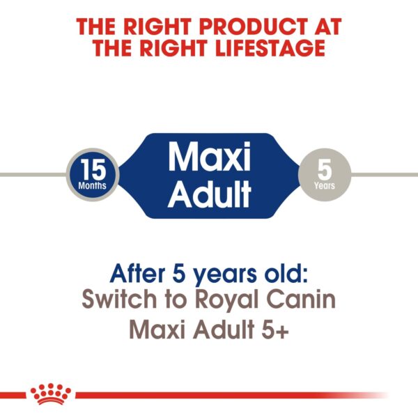 Royal Canin Maxi Adult 4 KG - Image 7