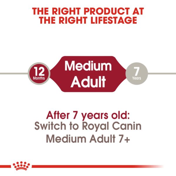 Royal Canin Medium Adult 4 KG - Image 6