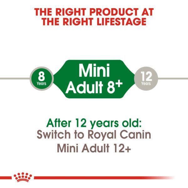 Royal Canin Mini Adult 8+ 2 KG - Image 2