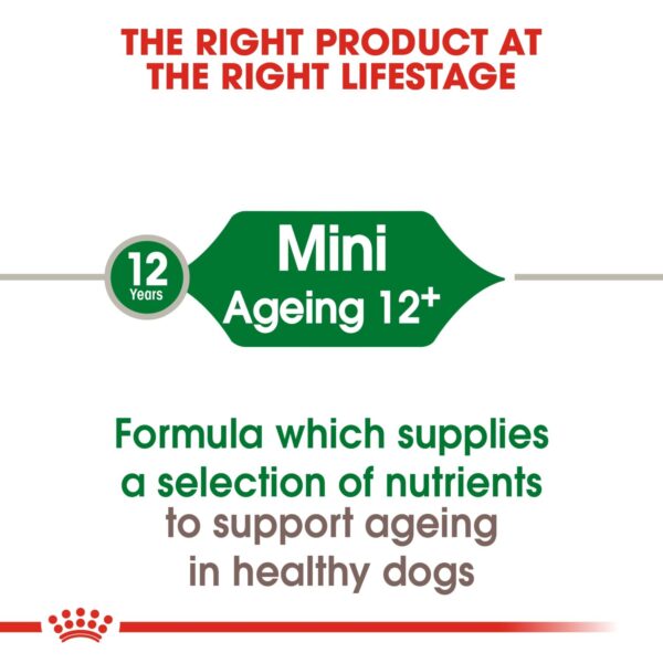 Royal Canin Mini Ageing 12+ 1.5 KG - Image 2