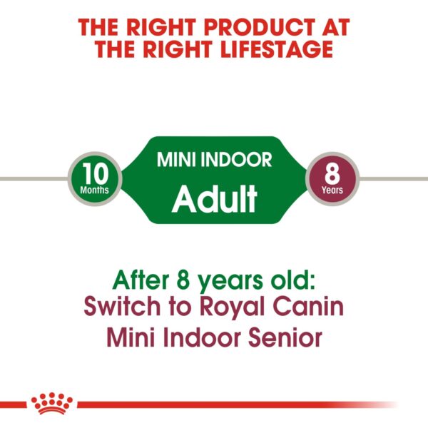 Royal Canin Mini Indoor Adult 1.5 KG - Image 4