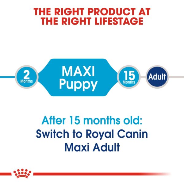 Royal Canin Maxi Puppy 4 KG - Image 3