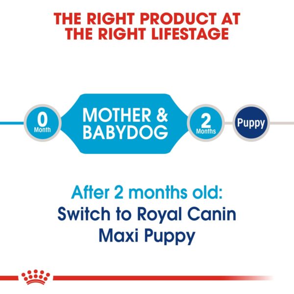 Royal Canin Maxi Starter 4 KG - Image 7