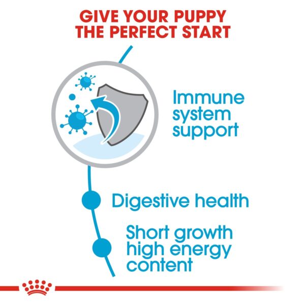 Royal Canin Medium Puppy 4 KG - Image 4