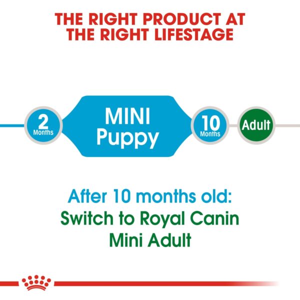 Royal Canin Mini Puppy 2 KG - Image 4