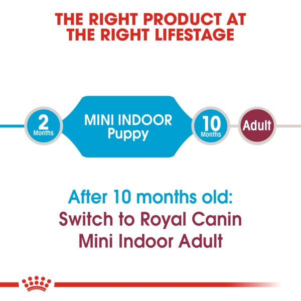 Royal Canin Mini Indoor Puppy 1.5 KG - Image 6