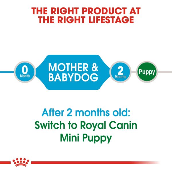 Royal Canin Mini Starter 1 KG - Image 2