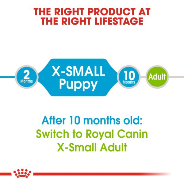 Royal Canin XS Puppy 1.5 KG - Image 3