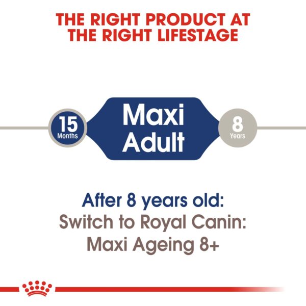 Royal Canin Maxi Adult (WET FOOD - Pouches) 10 x 140g - Image 3