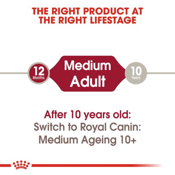 Royal Canin Medium Adult (WET FOOD - Pouches) 10 x 140g - Image 5