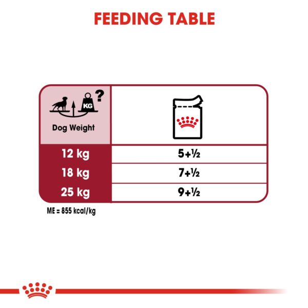 Royal Canin Medium Adult (WET FOOD - Pouches) 10 x 140g - Image 4