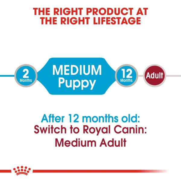 Royal Canin Medium Puppy (WET FOOD - Pouches) 10 x 140g - Image 4