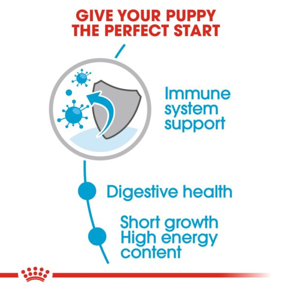 Royal Canin Medium Puppy (WET FOOD - Pouches) 10 x 140g - Image 5