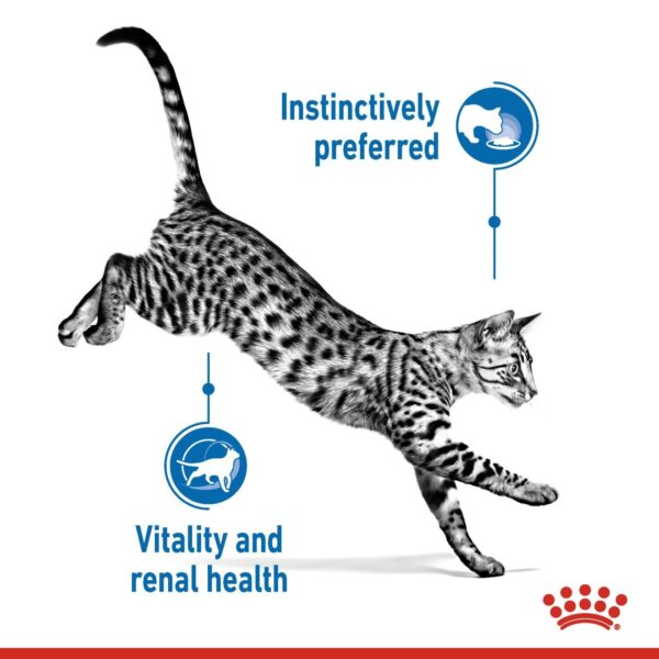 Royal Canin Indoor (WET FOOD - Pouches) 12 x 85g - Image 3