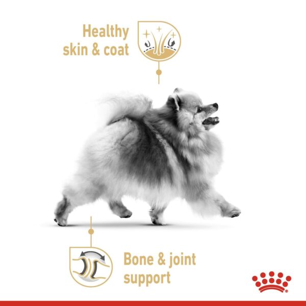 Royal Canin  Pomeranian (WET FOOD - Pouches) 12 x 85g - Image 3