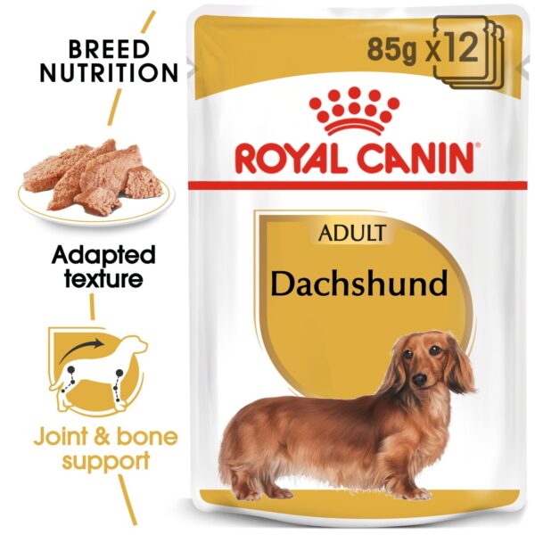 Royal Canin  Dachshund Adult (WET FOOD - Pouches) 12 x 85g