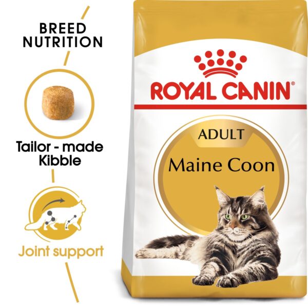 Royal Canin Maine Coon Adult 2 KG - Image 2