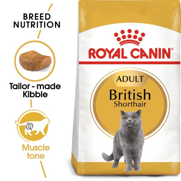 Royal Canin British Shorthair Adult 4 KG - Image 2