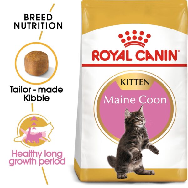 Royal Canin Maine Coon Kitten 2 KG