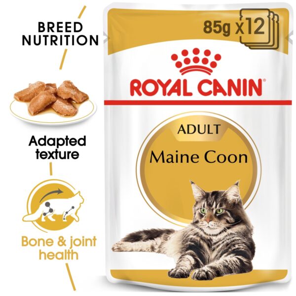 Royal Canin Maine Coon (WET FOOD - Pouches) 12 x 85g