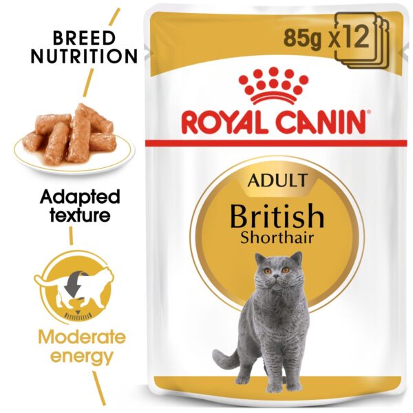 Royal Canin British Shorthair (WET FOOD - Pouches) 12 x 85g - Image 2